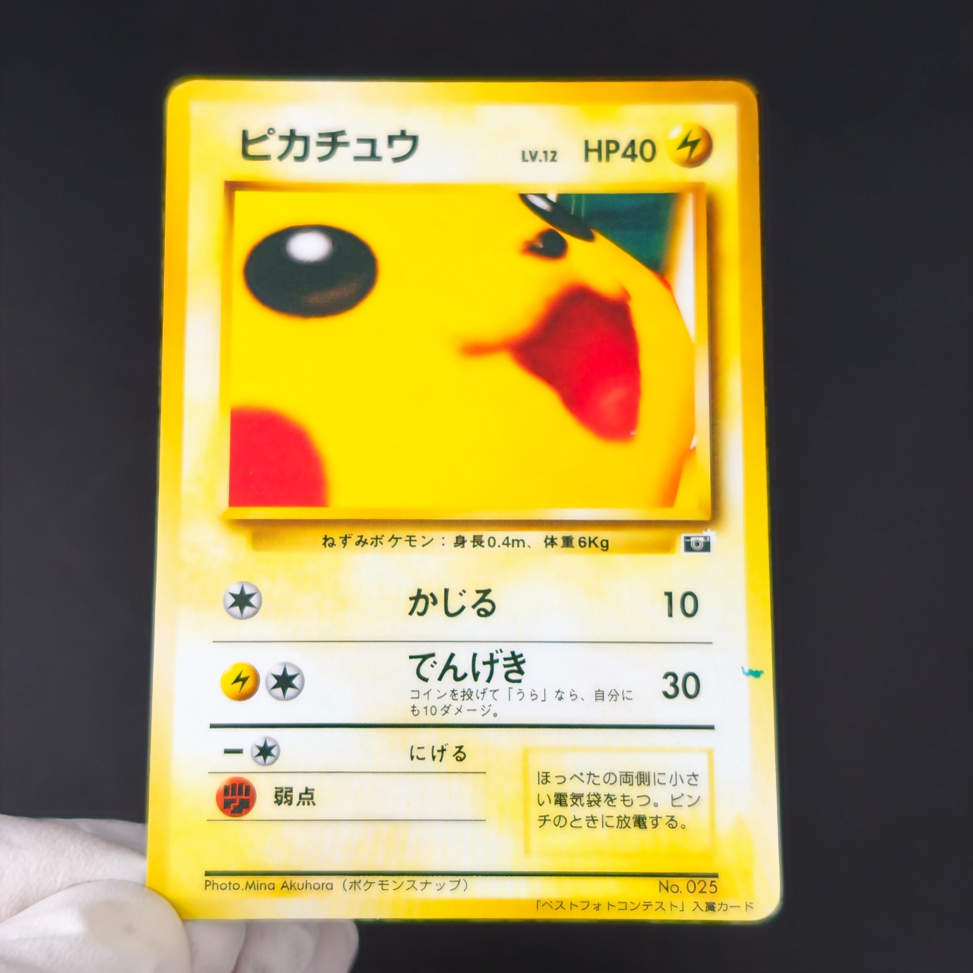 10PCS 포켓몬 빈티지 보이 벌바사우르스 샤르마nde - Vintage Pokemon Collectible 리뷰 및 가격