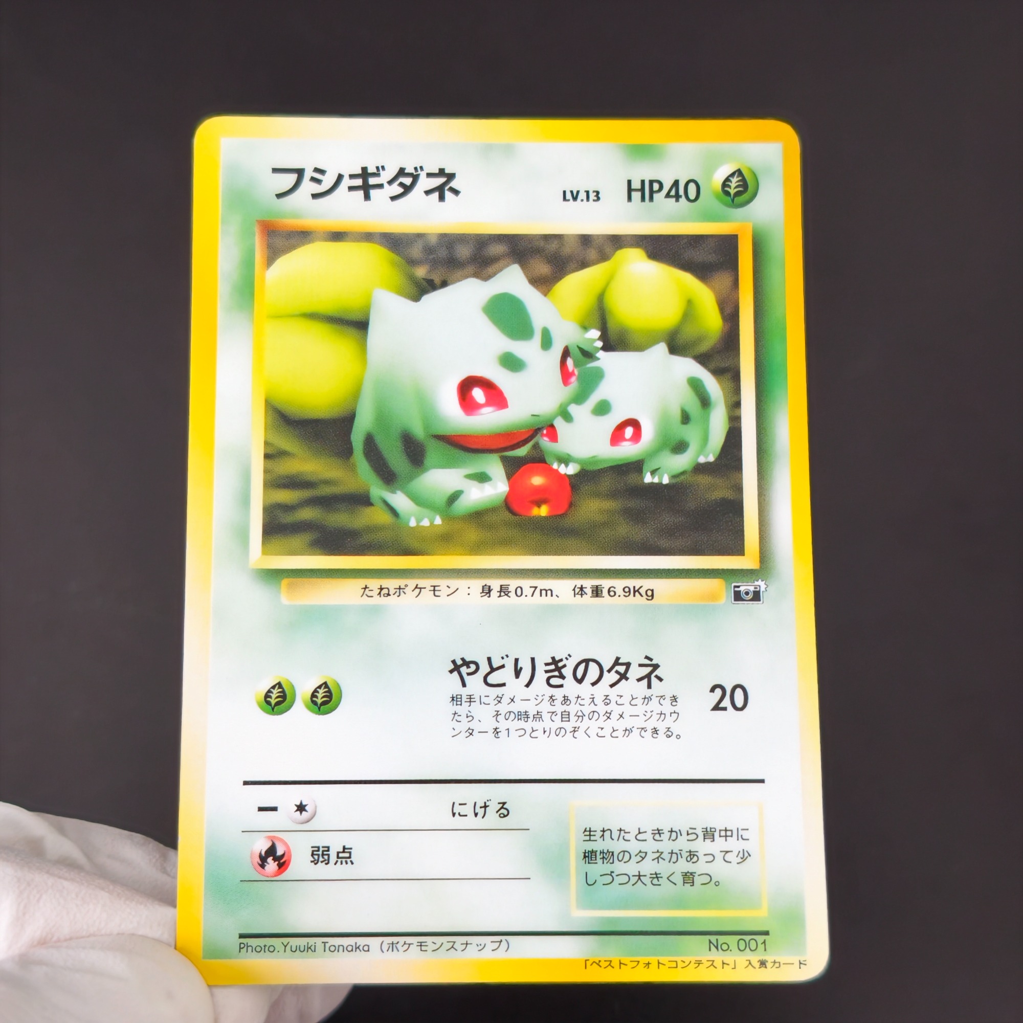 10PCS 포켓몬 빈티지 보이 벌바사우르스 샤르마nde - Vintage Pokemon Collectible 리뷰 및 가격